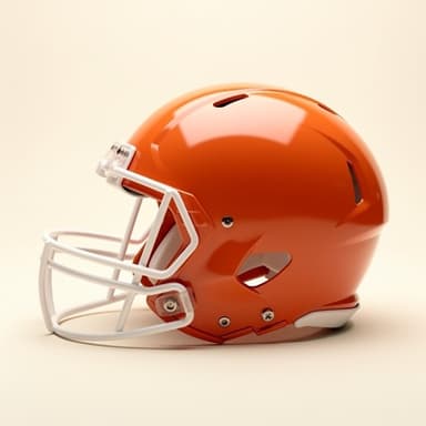Clemson helmet