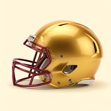 Florida State helmet