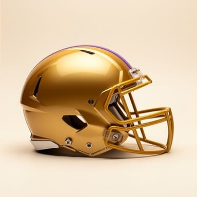 LSU helmet