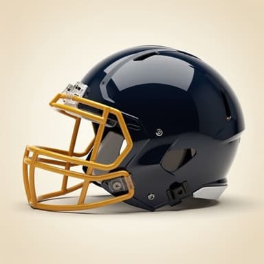 Michigan helmet