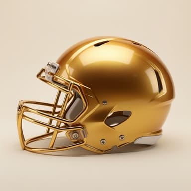 Notre Dame helmet