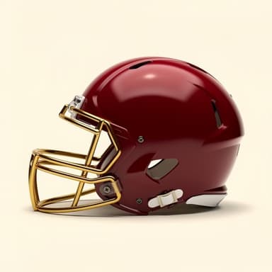 USC helmet