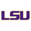 Tiger Stadium team logo